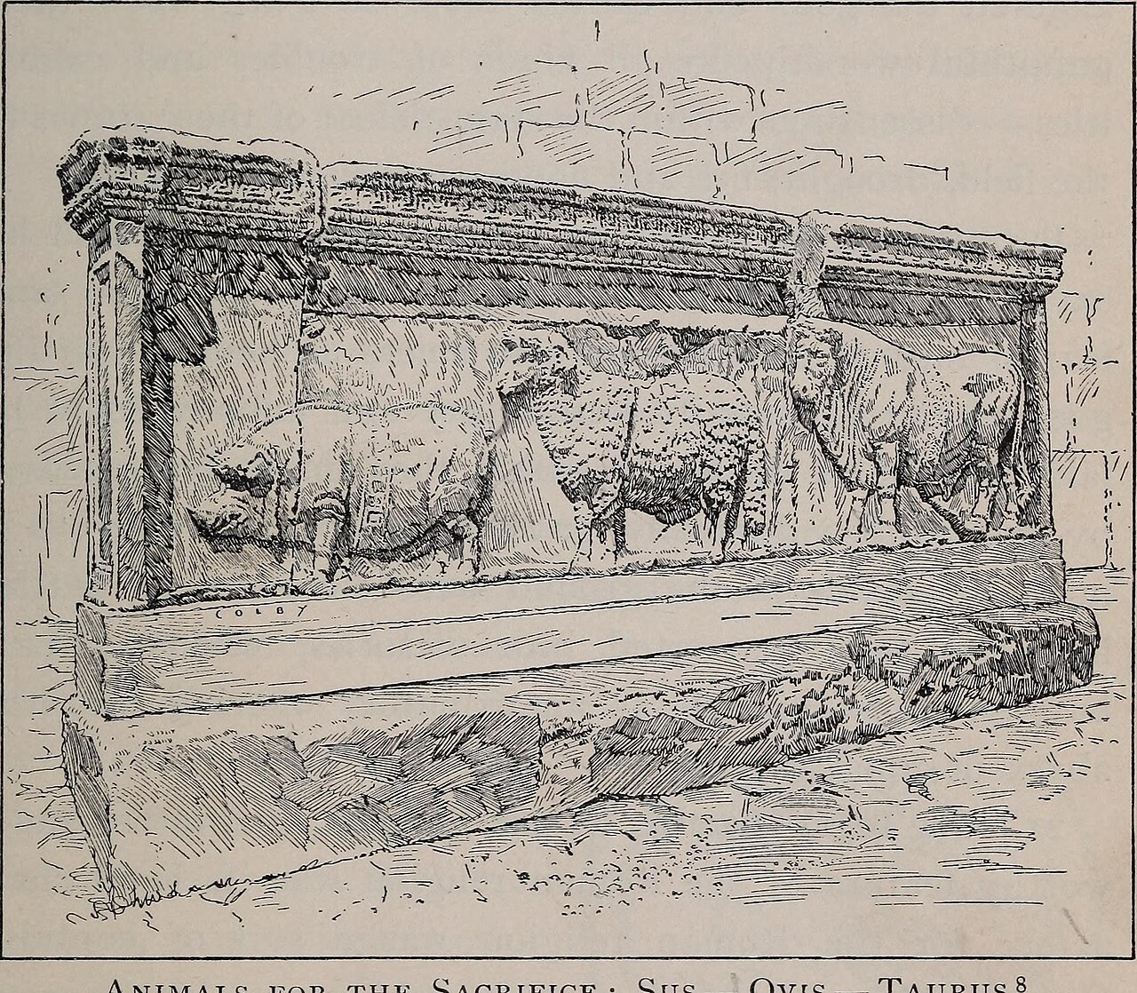 Spectacles in ancient Rome